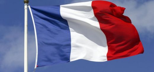 Introduction of the French language on the website